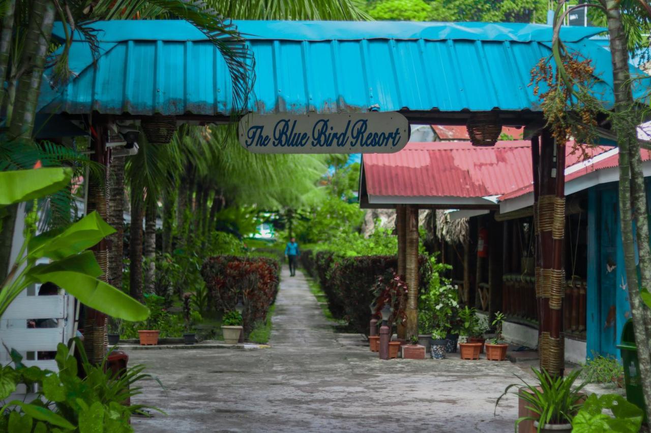 Blue Bird Resort Vijay Nagar Beach Luaran gambar
